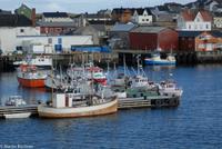 Hurtigruten - MS Nordnorge (202)