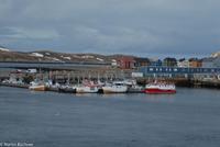 Hurtigruten - MS Nordnorge (204)