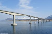 Hurtigruten - MS Nordnorge (234)