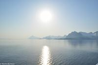 Hurtigruten - MS Nordnorge (258)