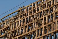 Hurtigruten - MS Nordnorge (266)