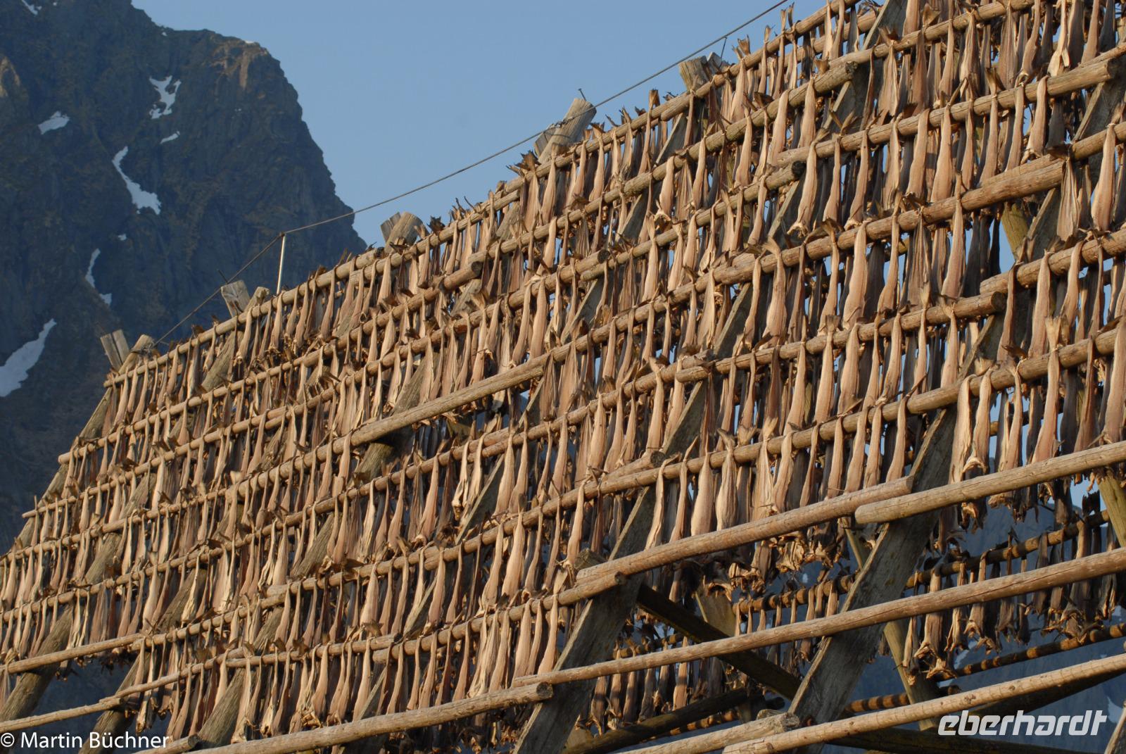 Hurtigruten - MS Nordnorge (267)