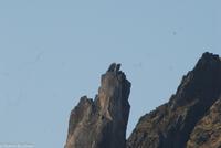 Hurtigruten - MS Nordnorge (270)