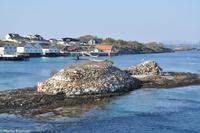 Hurtigruten - MS Nordnorge (290)
