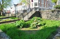 Hurtigruten - MS Nordnorge (303)
