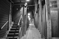 Hurtigruten - MS Nordnorge (320)