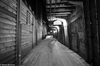 Hurtigruten - MS Nordnorge (321)