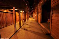 Hurtigruten - MS Nordnorge (322)