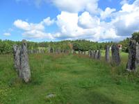 006 Blomsholm, Schiffssetzung