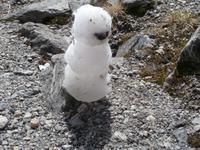 Schneemann gebaut von RG