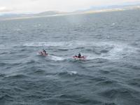 Wasserretter auf Jet-Skis