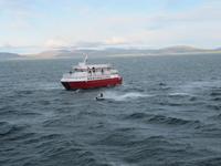 Das Boot fährt zum Hafen zurück