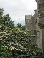 Cawdor Castle