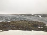 Hardangervidda