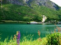 Kreuzfahrt auf dem Geirangerfjord 