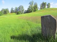 Grabhügel und Runenstein in Högom