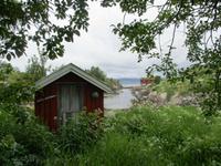Hütte am Saltstraumen