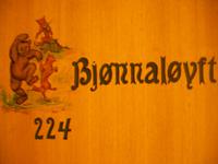 Unser Hotel Leirvassbu