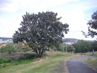 Fotostopp in Göteborg - Masthuggskyrkan