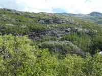 Fahrt mit der Bergenbahn