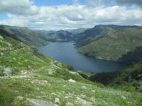 Blick auf Röldal am Röldalfjord