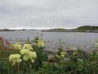 An der Atlantikstraße