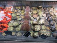 Alles an Meeresfrüchten gibt es in der Fischhalle in Bergen