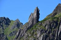 190 Lofoten, Svolvaer, Ziege am Svolvaergeita