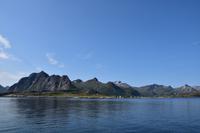 200 Lofoten, Adlersafari