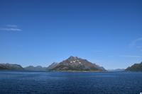 201 Lofoten, Adlersafari