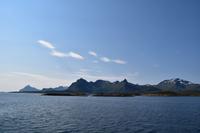 205 Lofoten, Adlersafari