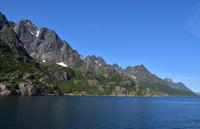 207 Lofoten, Adlersafari