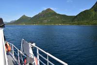 208 Lofoten, Adlersafari