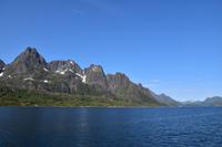 217 Lofoten, Adlersafari