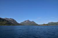 219 Lofoten, Adlersafari