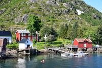 247 Lofoten, Adlersafari