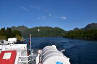 248 Lofoten, Adlersafari