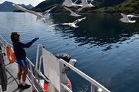 270 Lofoten, Adlersafari