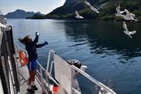 275 Lofoten, Adlersafari