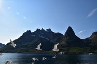 279 Lofoten, Adlersafari