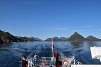 295 Lofoten, Adlersafari