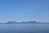 296 Lofoten, Adlersafari, Ofoten