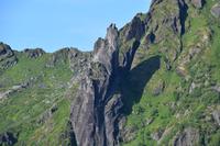 305 Lofoten, Ziege von Svolvaer