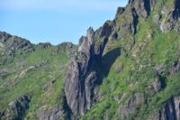 307 Lofoten, Ziege von Svolvaer