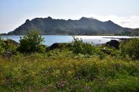 358 Lofoten, Küste bei Sennesvik