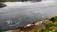 393 Saltstraumen