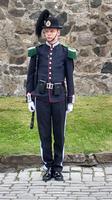 015 Oslo, Soldat des Königlichen Wachregimentes