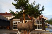 026 Elverum, Hotel Scandic Elgstua