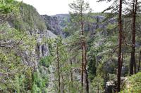 039 Canyon Jutulhogget