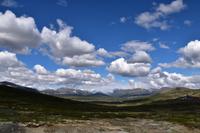123 Wanderung auf dem Dovrefjell